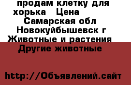 продам клетку для хорька › Цена ­ 6 000 - Самарская обл., Новокуйбышевск г. Животные и растения » Другие животные   